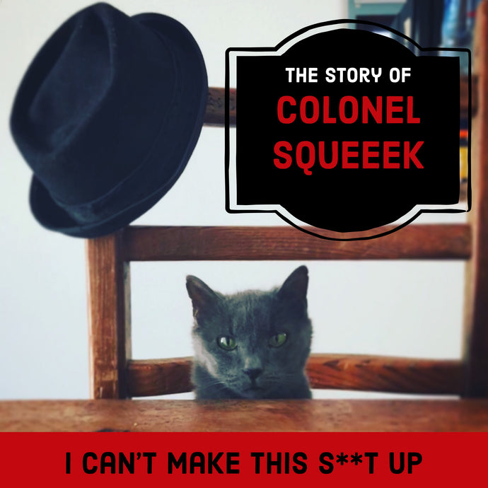The Story of Colonel Squeeek and my Perceptual Blindness