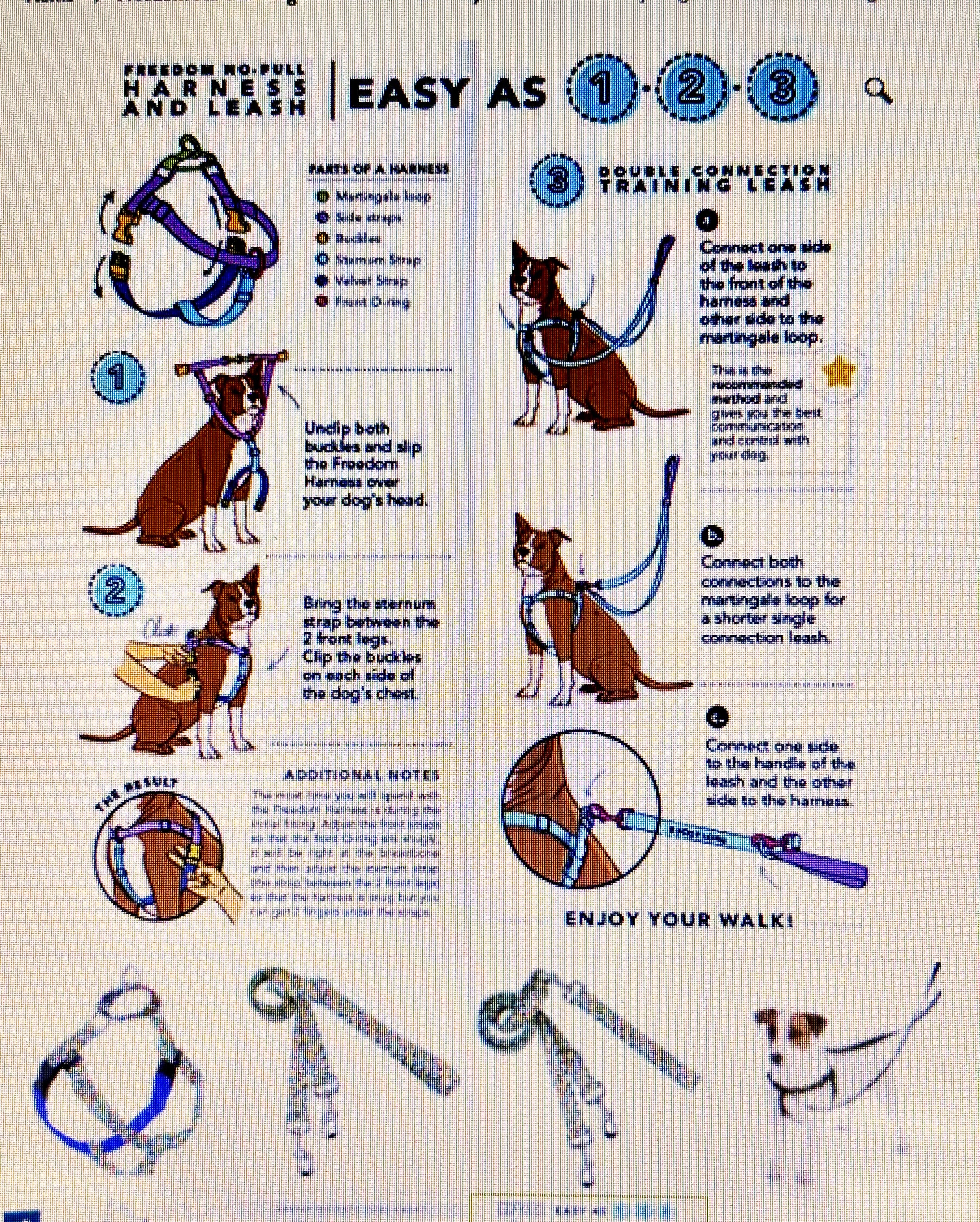 Thinking & Training Set