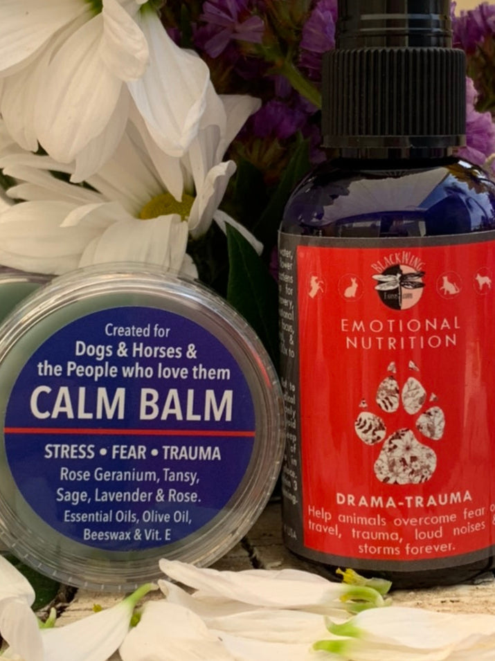 Drama – Trauma =