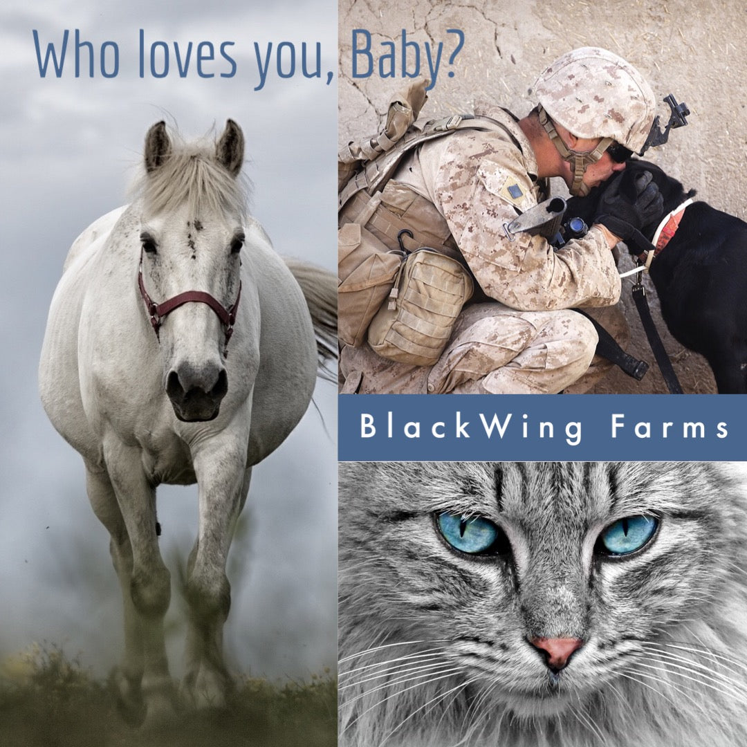 GIFT CARDS ~ Our Way /and/ Your Way of Saying THANK YOU! $25 also $50, $75 and $100 Values