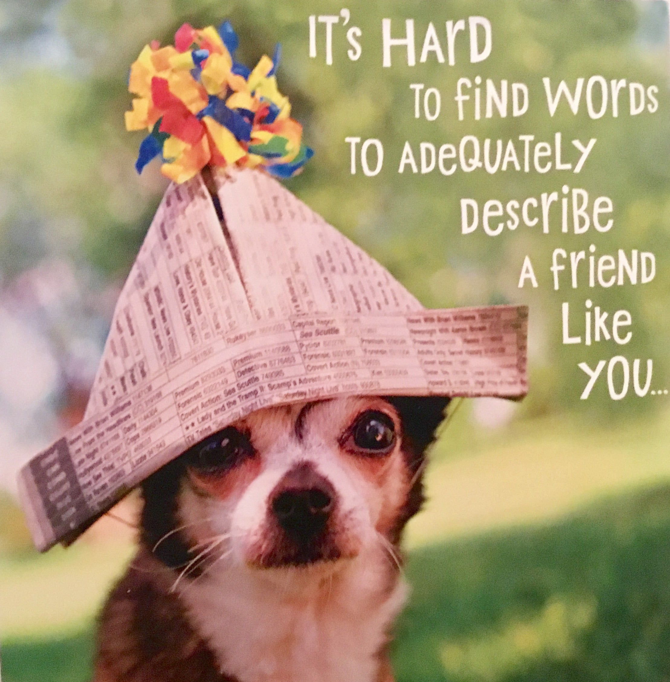 GIFT CARDS ~ Our Way /and/ Your Way of Saying THANK YOU! $25 also $50, $75 and $100 Values