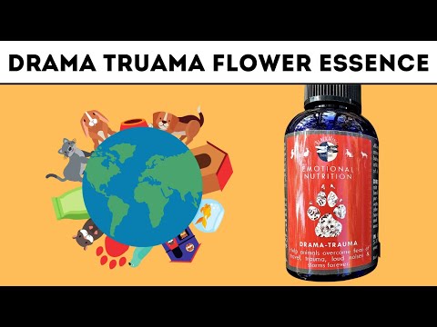 Drama – Trauma =