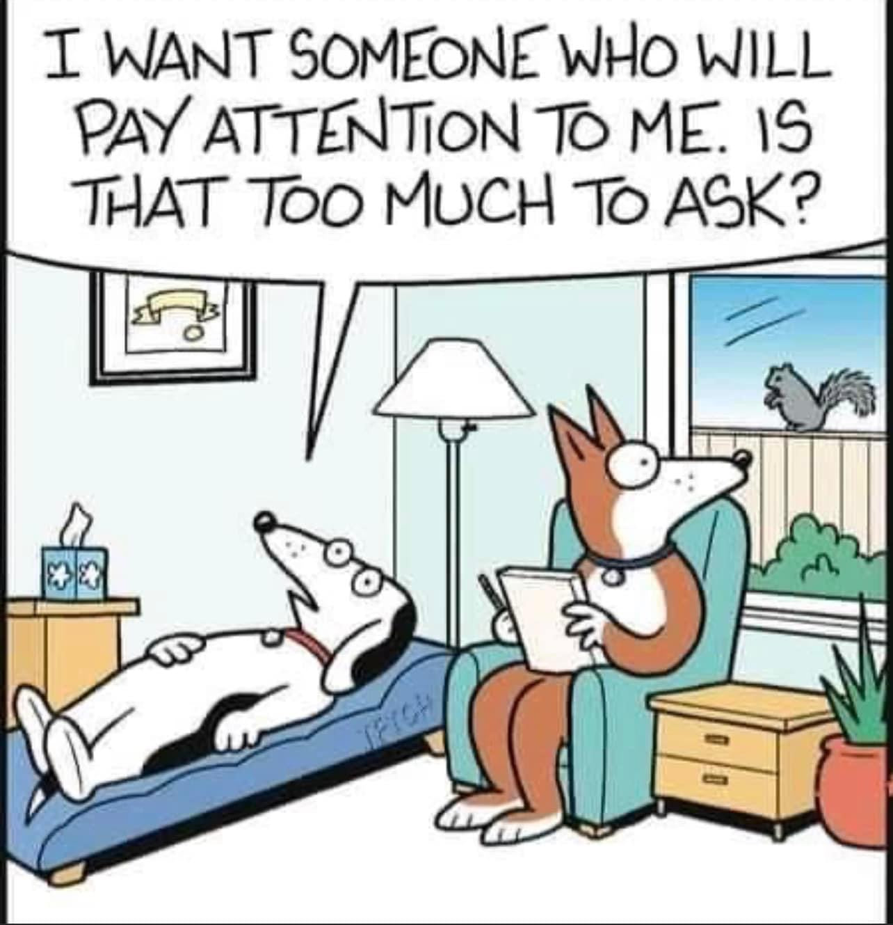 Consultations by Phone, Private and Perfect.