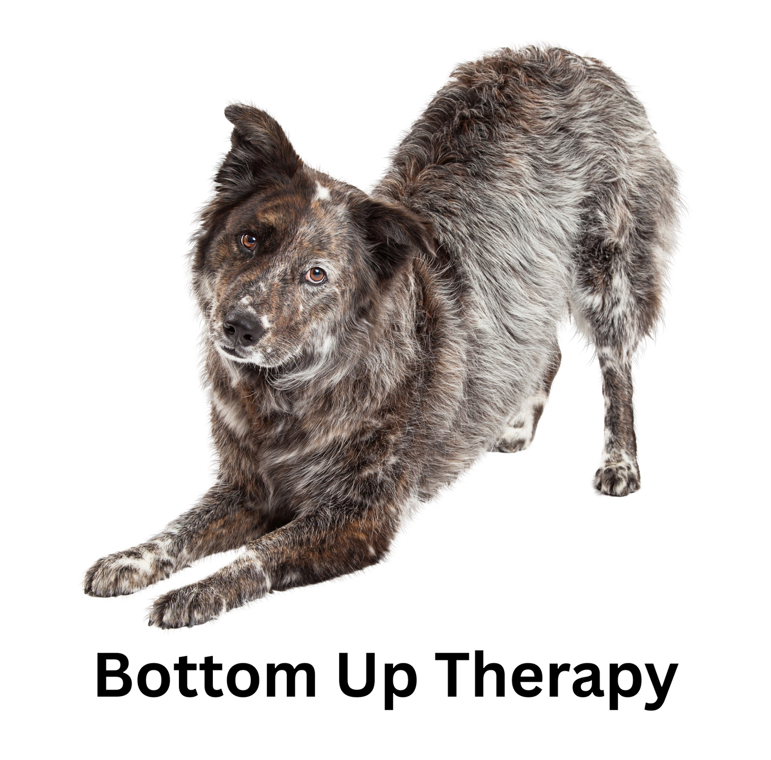 Bottom Up Therapy