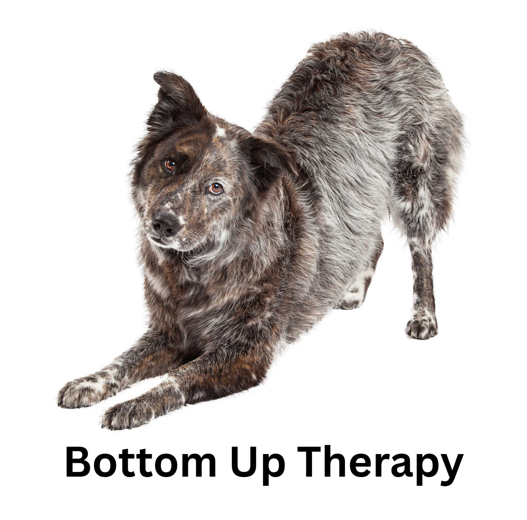 Bottom Up Therapy