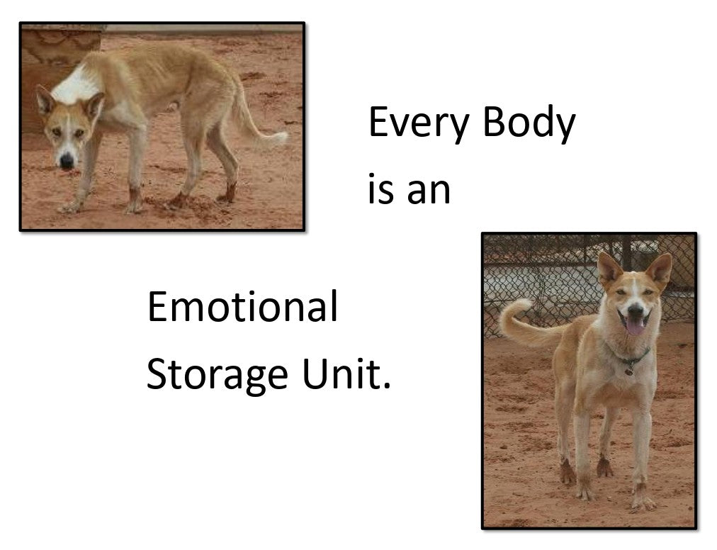 Every Body is an Emotional Storage Unit
