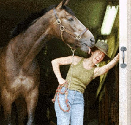 From Canada to Mexico