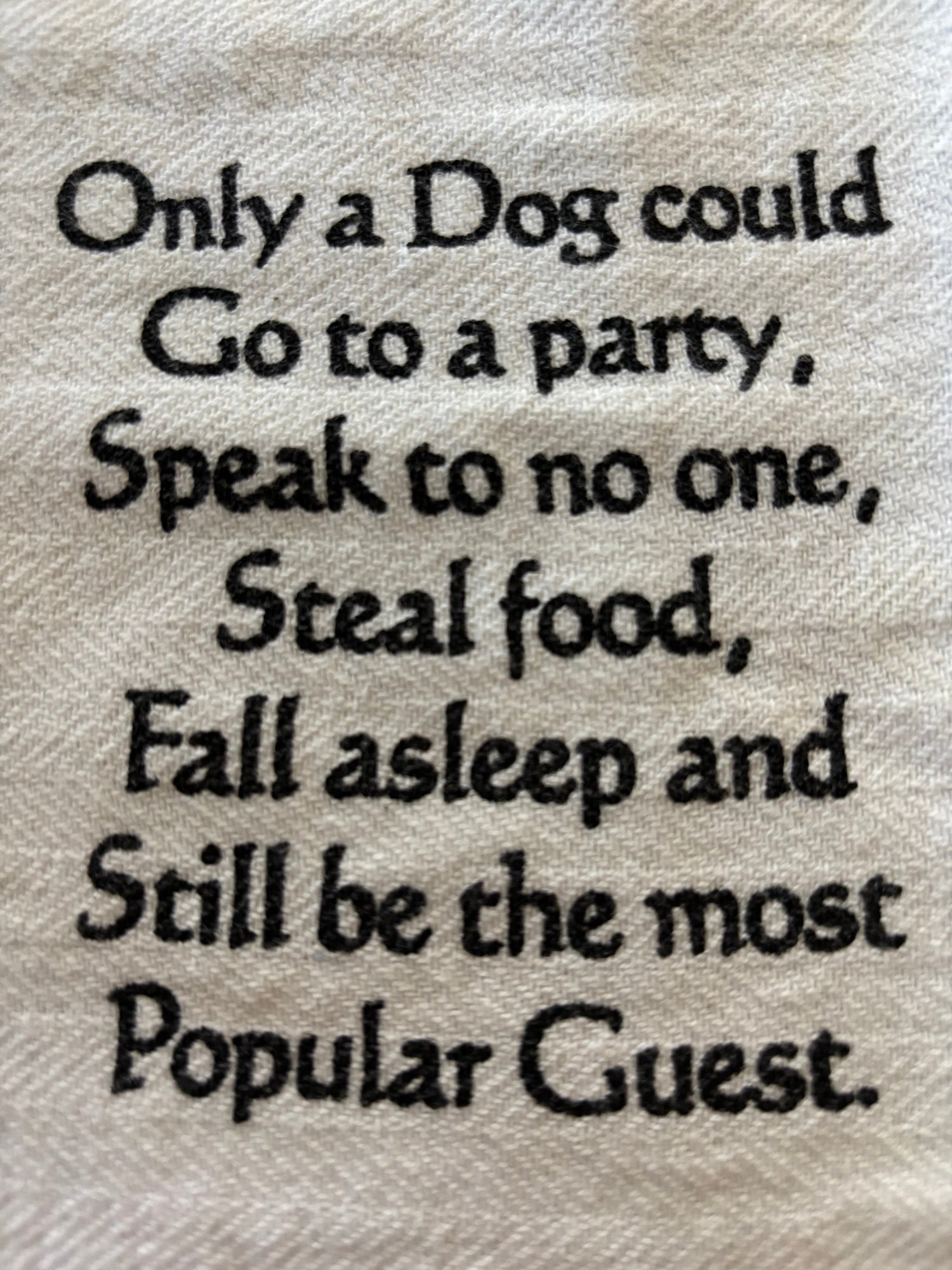 Dogs and Cats partying.