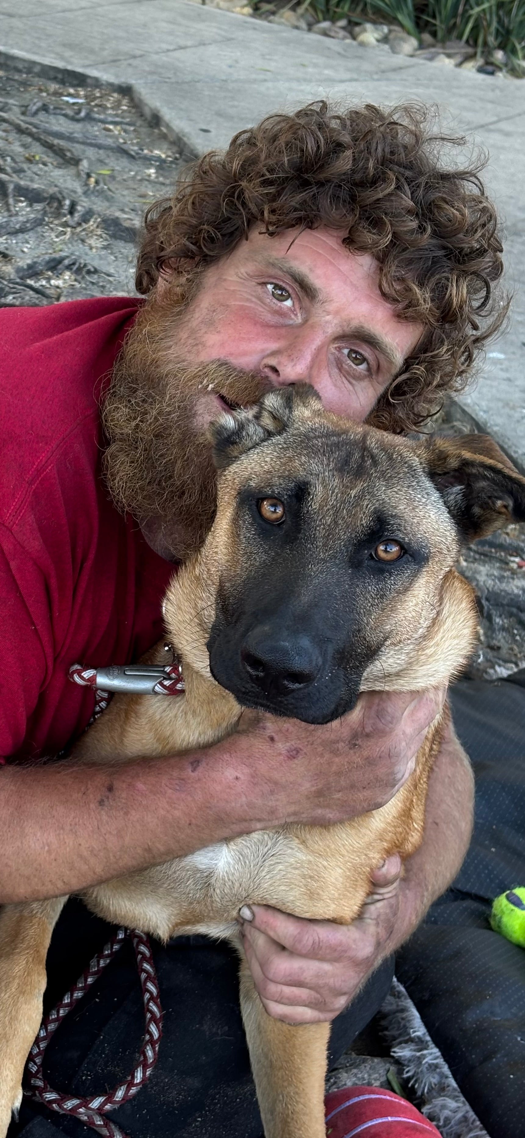 Service Animals often do not carry certificates