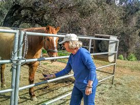 From Trauma to Recovery in 30 Days with Flower Essences: Starr's Story