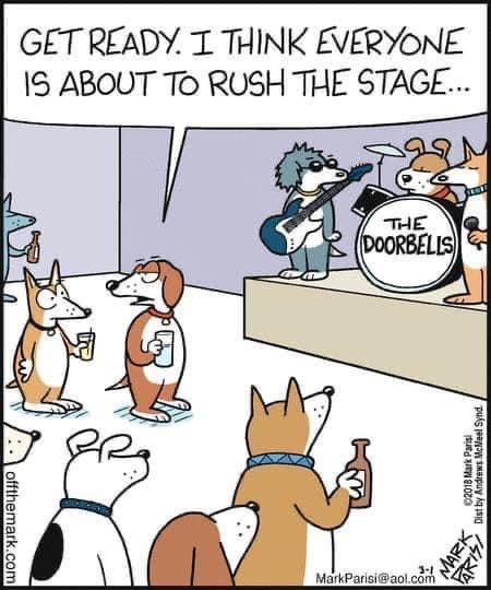 Dogs waiting to bark at doorbell 