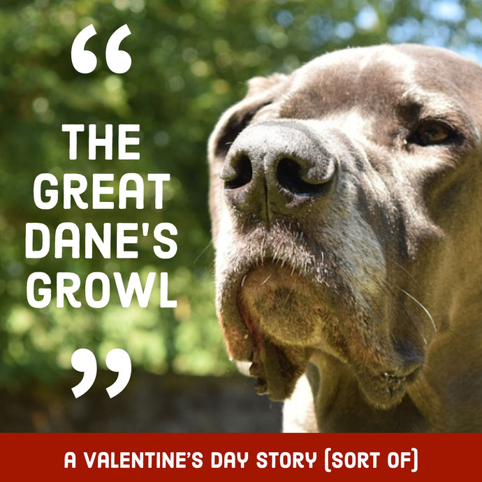 Valentine's Day, a Story with a Growl.