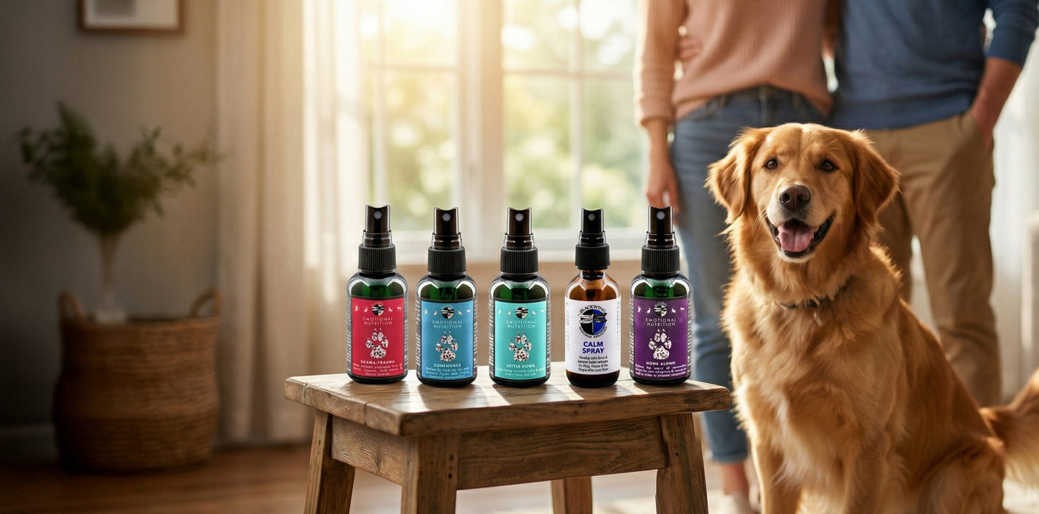 The Right to Change my Mind