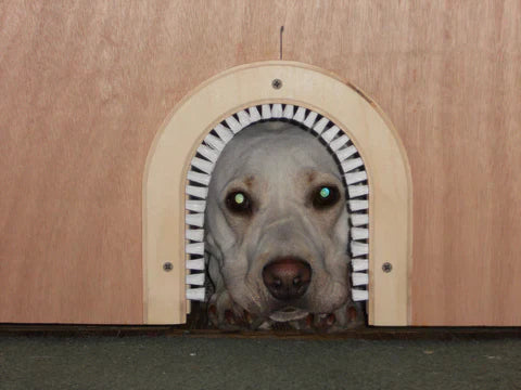 Fear of loud noises - gone in minutes