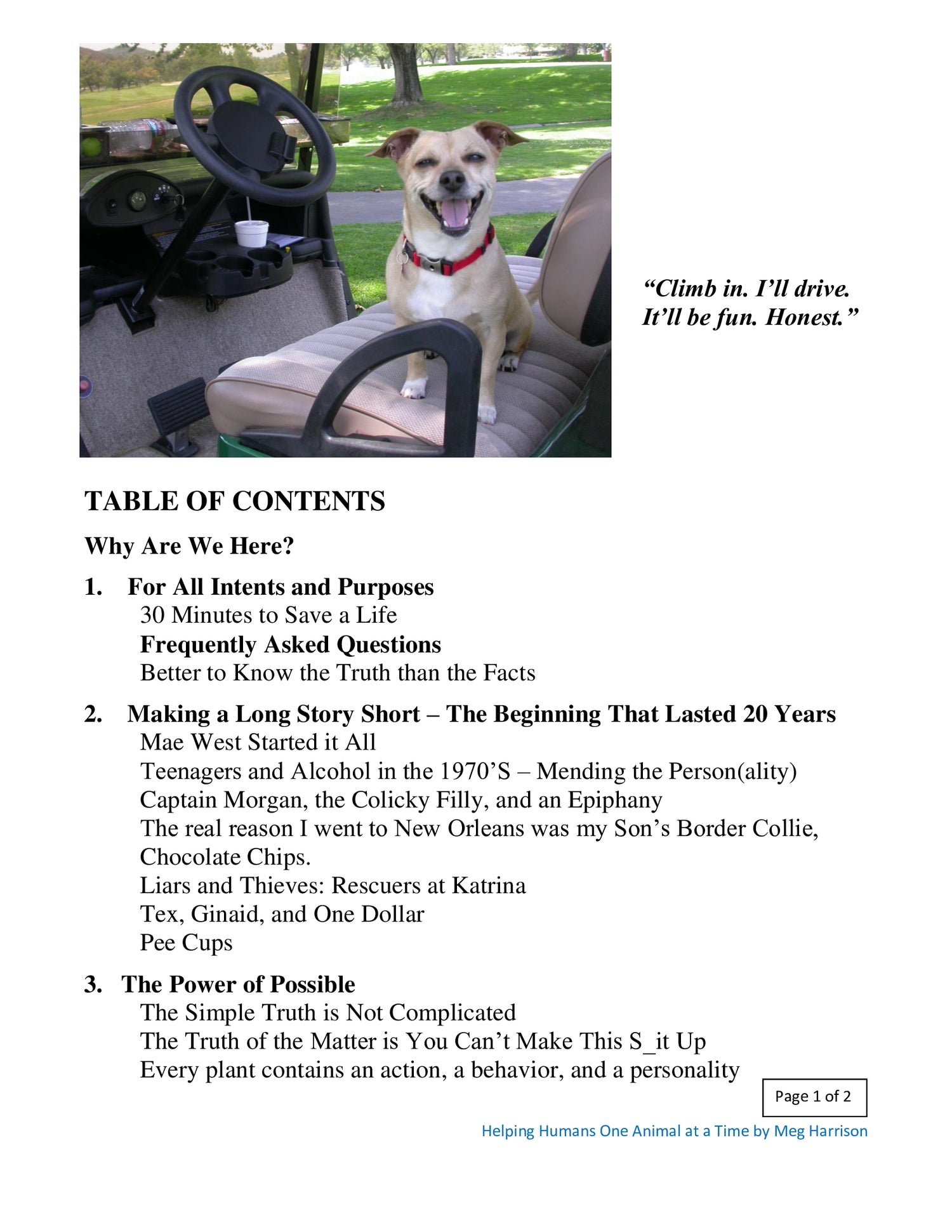Helping Humans - Downloadable E-Book