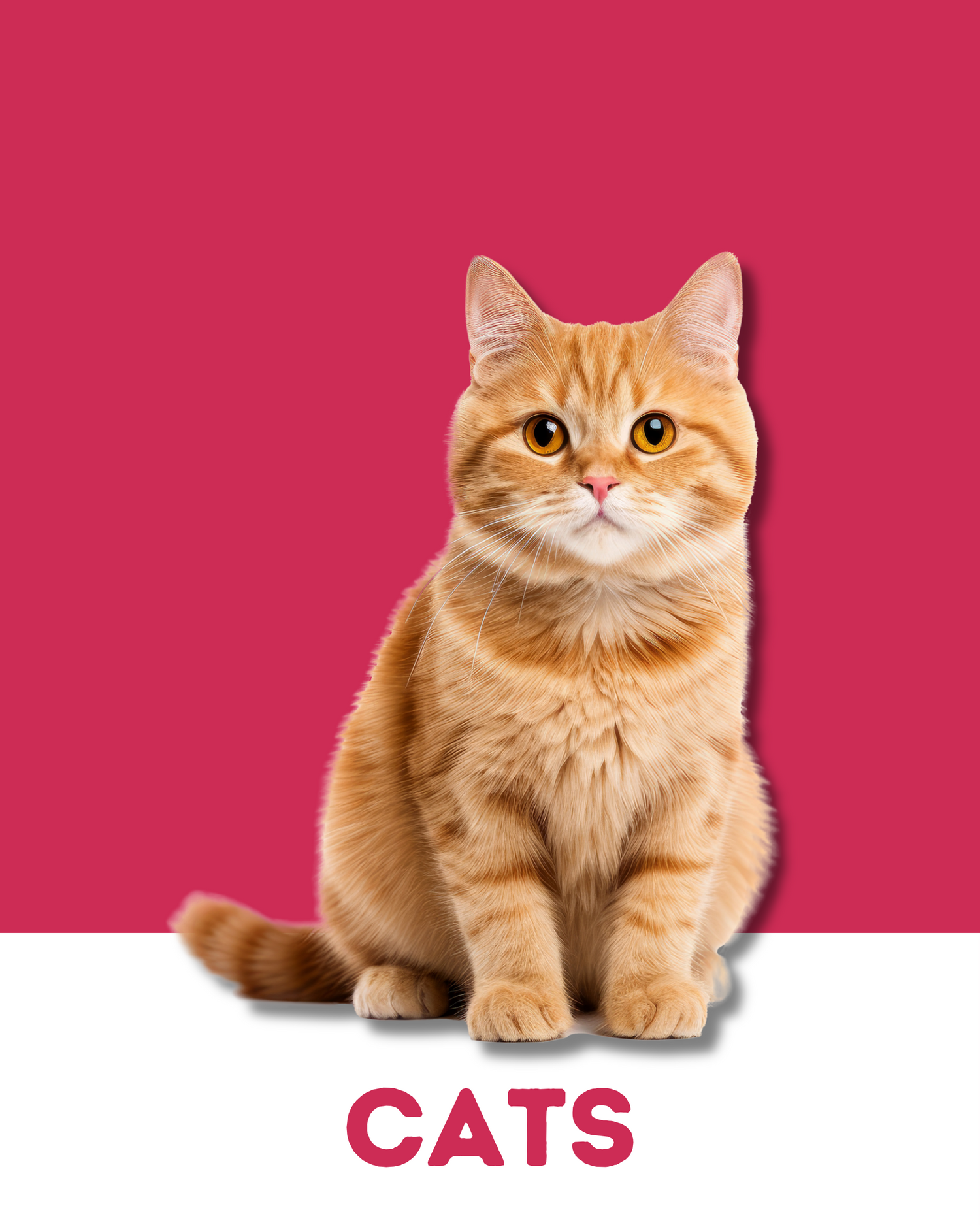 Blackwing Farms for Cats