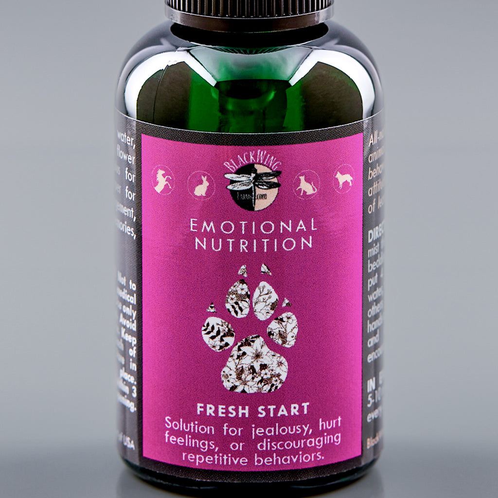 FRESH START partnering with SHELTER BLEND - 2for1