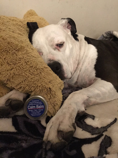 Calm Balm Eases Stress &amp; Fear