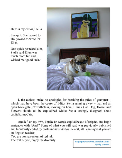 Helping Humans - Downloadable E-Book