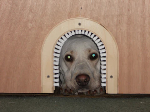 Helping Humans One Animal At A Time, a book of stories and studies.
