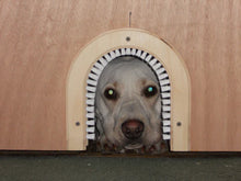 Helping Humans One Animal At A Time, a book of stories and studies.