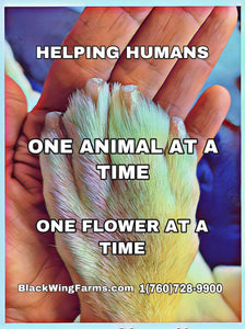 Shelter Blend Enriches Lives