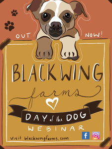 Webinar = DAY of the DOG
