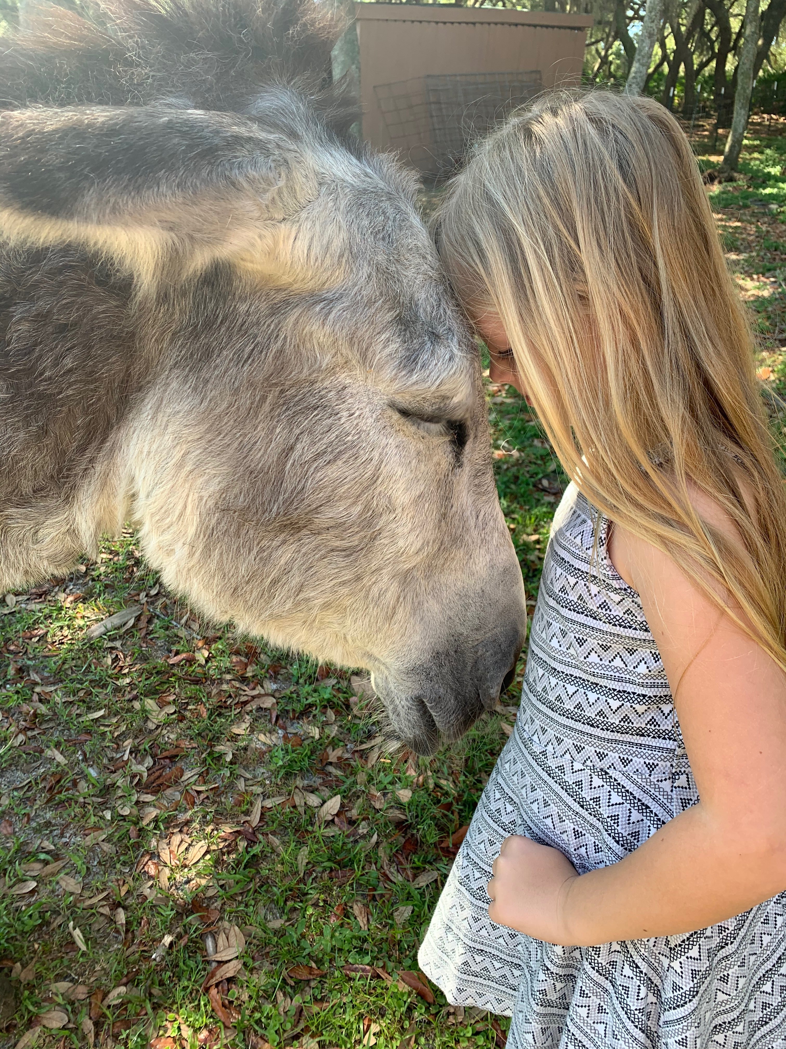 FRESH START partnering with SHELTER BLEND - 2for1