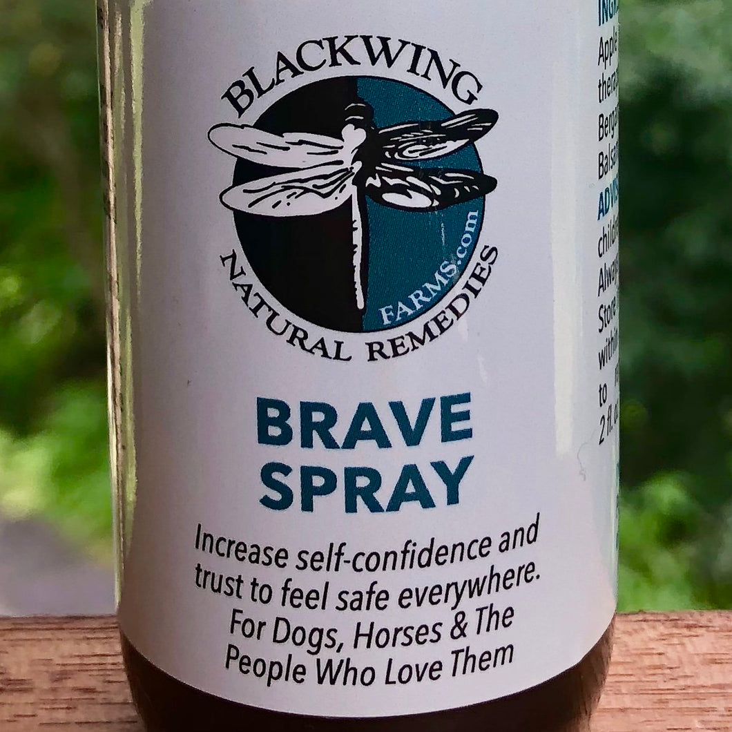 Brave Balm Spray ...to feel safe everywhere.