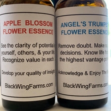 Apple Blossom Essence - Encouraging positive self-image.