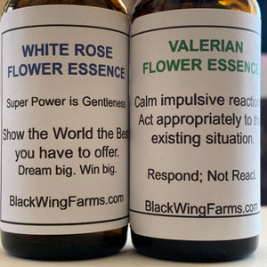 White Rose Flower Essence - Imagine what you could achieve...