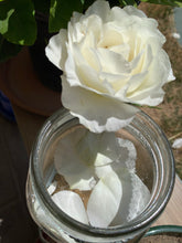 White Rose Flower Essence - Imagine what you could achieve...