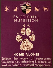 Home Alone! ~ Relieves the Worry of Separation.